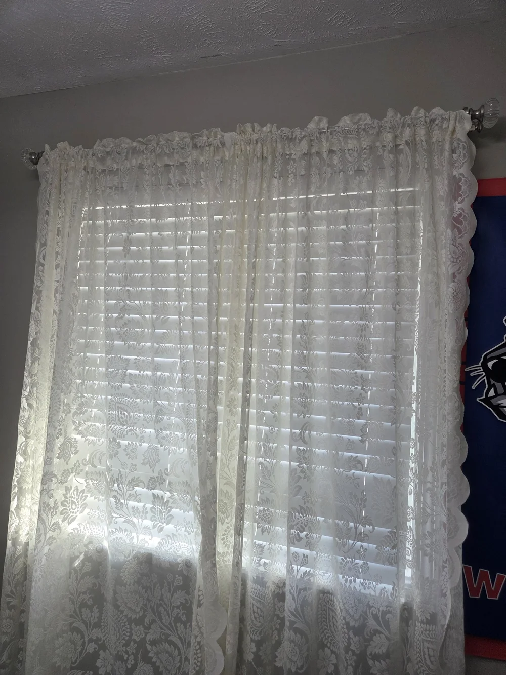 Ivory Sheer Lace Curtains - Light Filtering Floral Panels